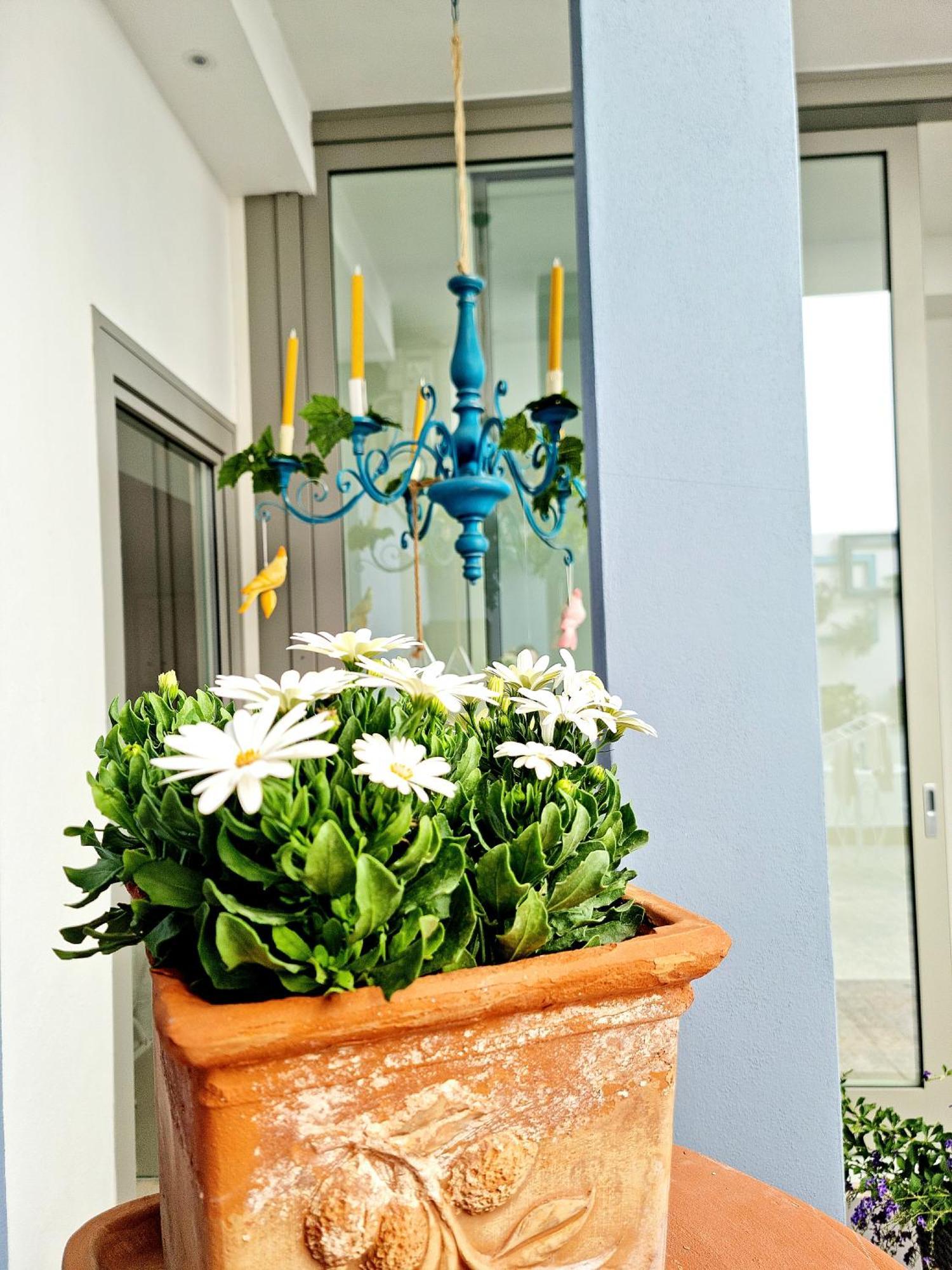Golden House Hotell Porto Torres Eksteriør bilde